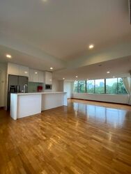 Nassim Regency (D10), Condominium #571613921